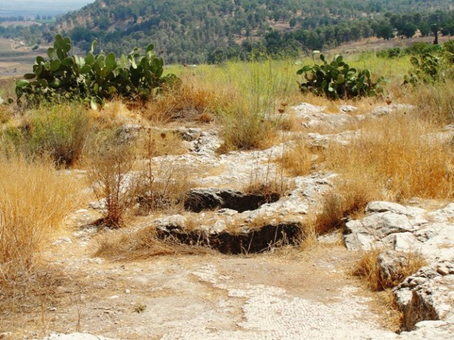 Jezreel, King Ahab, Ruins, Archaeology, Jezebel, Elijah