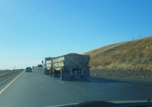 Tomato Truck, Tomato Harvest, Tomatoes, Tomato Traffic