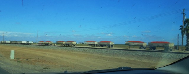 Tomato Harvest, Full hoppers, Tomatoes, California, Central Valley