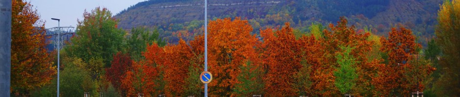 Fall Color, Jena, Germany, Goschwitz, Walk to Work
