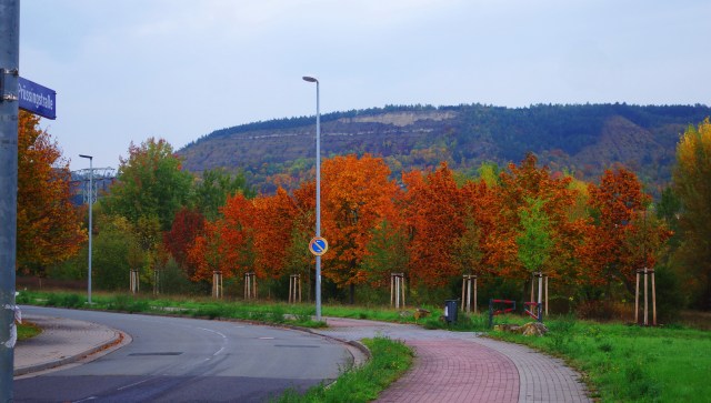 Fall Color, Jena, Germany, Goschwitz, Walk to Work