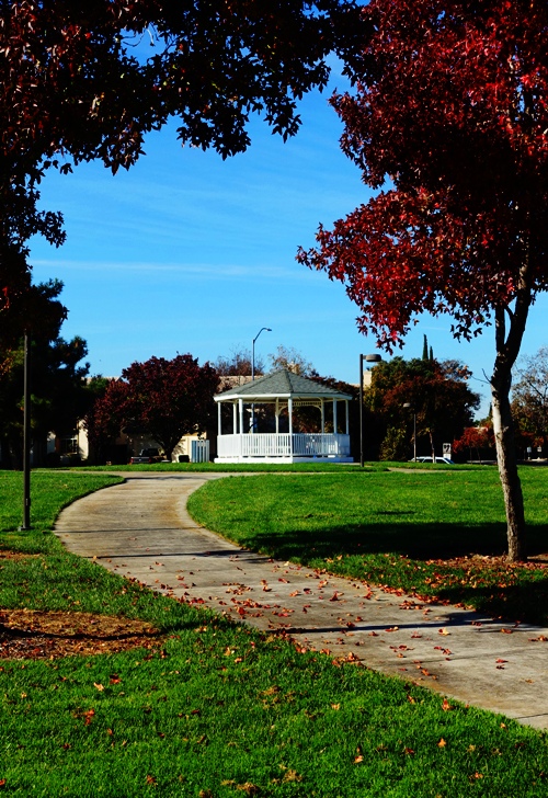 Park, Gazebo, Fall Day, Beautiful walk, exercise, Vote Walk