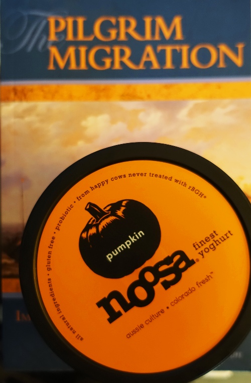 Pumpkin Yoghurt, Noosa Yoghurt, Thanksgiving