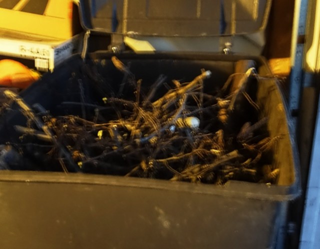 Branches, tree trimming