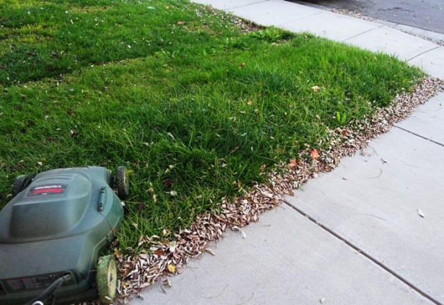 Tall Grass, electric mower, rain delay