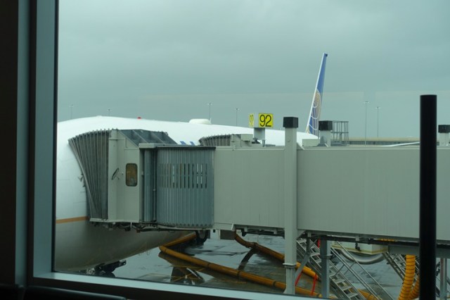 San Francisco Airport, United, 777
