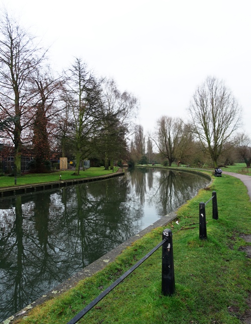 Trees reflecting, river cam, Cambridge, Coe Fen