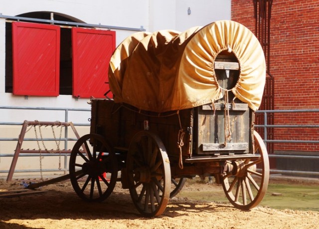 Western Wagon, Rodeo, Horse Show, Stockyards