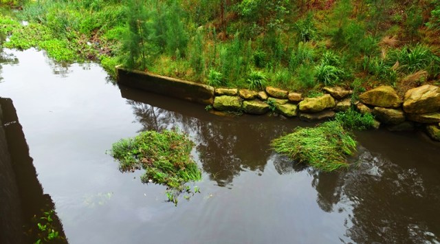 North Ryde, Shrimpton Creek, Rainy Day, Australia