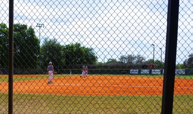 Temple Terrace, Florida, Baseball