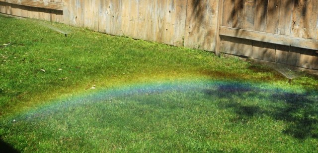 Backyard rainbow, sprinklers, spring yard work