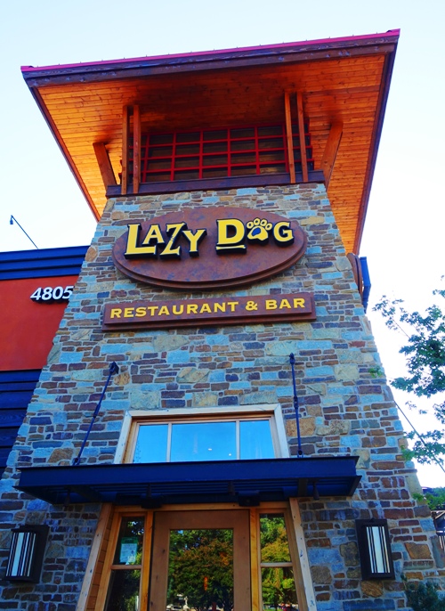 Lazy Dog, Dublin, California, Dinner, Dogs