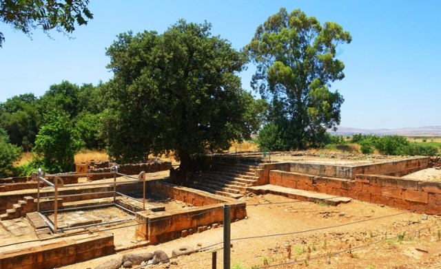 High Places, Tel Dan, Golden Calf