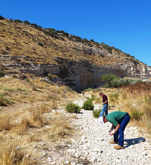 Elah Valley, Brook of Elah, Sling Stones, David and Goliath