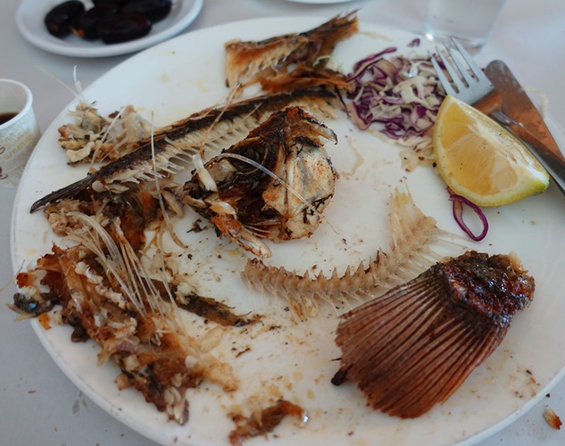 St. Peter's Fish, Whole Fish, Sea of Galilee