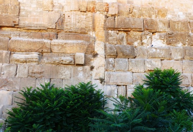 Seam in Temple Mount Wall, Jerusalem