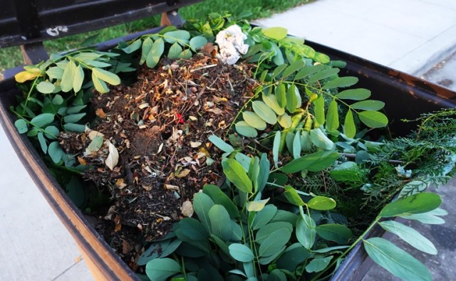 Trash Pickup, Yard waste, tree trimmings, rose trimmings, bush trimming