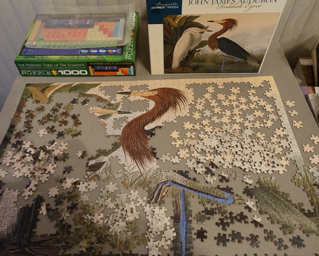 Reddish Egrets, Audubon, Puzzles, Jigsaw Puzzles