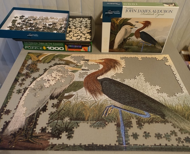 Reddish Egrets, Audubon, Puzzles, Jigsaw Puzzles