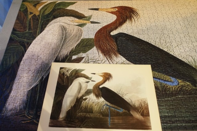 Reddish Egrets, Audubon, Puzzles, Jigsaw Puzzles