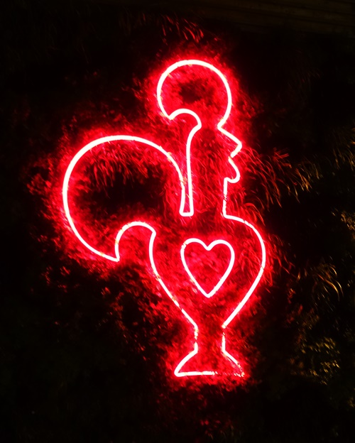 Nando's Chicken, Cambridge, Neon Sign