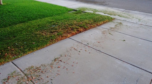 Mowing, edging, yard work