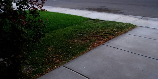 Sidewalk sweeping, yard work, late evening yard work