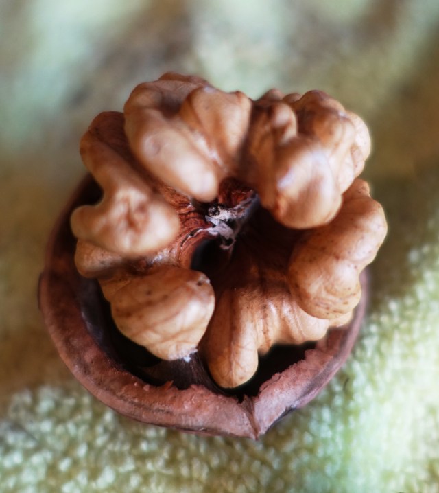 Walnuts, Three segment walnut, nutmeat, odd walnuts