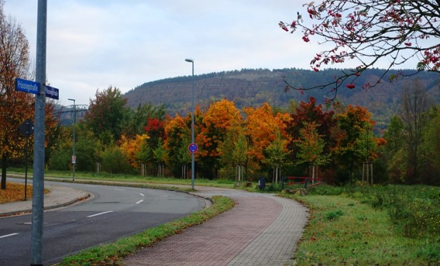 Autumn Color, Fall Color, colorful trees, Jena, Germany