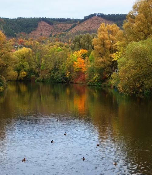 Saale River, Jena, Germany, Fall Color