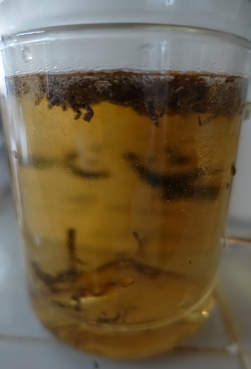 Tea Brewing, Brahmin Tea, Glass Teapot