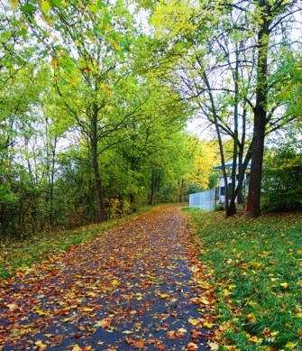 Walk to Work, Jena, Germany, Fall Color
