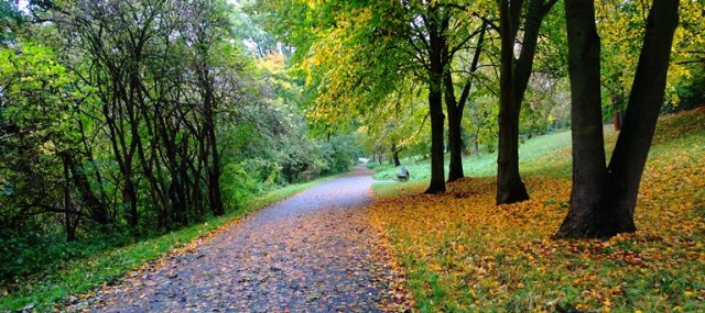 jena, germany, walk to work