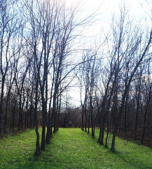 Disc golf, Black Friday, Smithville Lake, Black Friday