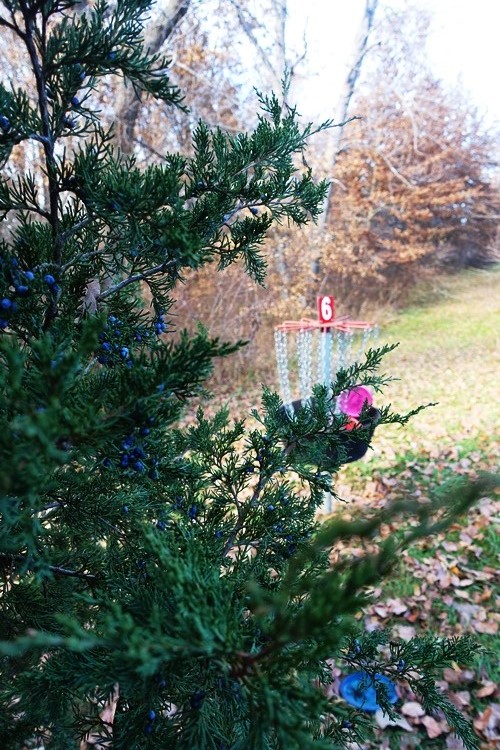 Disc Golfing, Smithville Lake, Golfing, Black Friday, Golf Basket