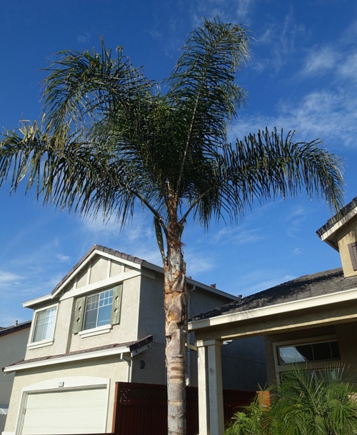 walk, daytime, walking, autumn