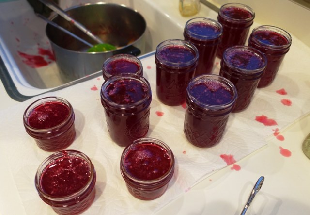 Pomegranate Jelly, Pomegranate, Seeds, Jelly, Cooking, Canning