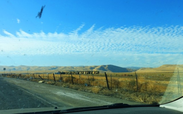 Tracy Hills, Construction, Tracy, California, Large Development