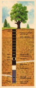 Oak Island, Money Pit, National Geographic, Curse of Oak Island