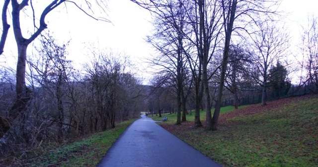 Walk to work, Winter, Jena, Germany
