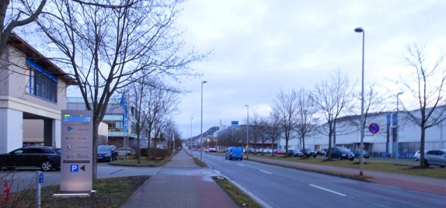 Winter, No leaves, Office street, contrast