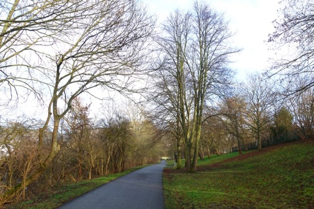 Jena, Germany, Trail, trees