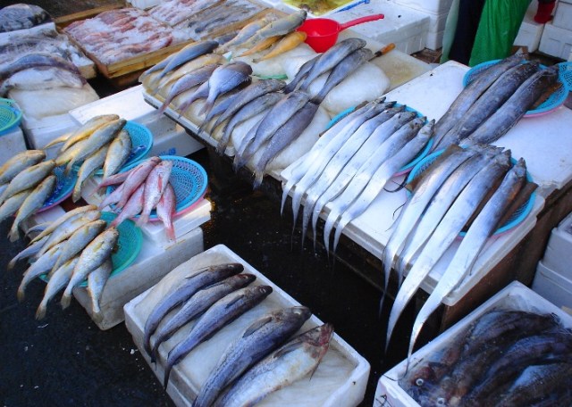 Fresh Fish, Jagalchi Fish market, Busan, Pusan, South Korea