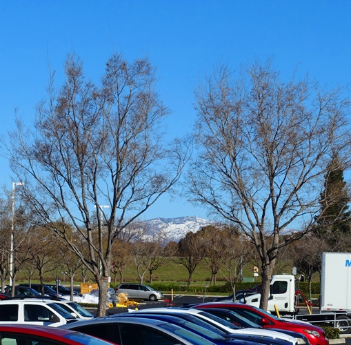 Mt. Diablo, Snow, Winter, Snow Cover, Dublin