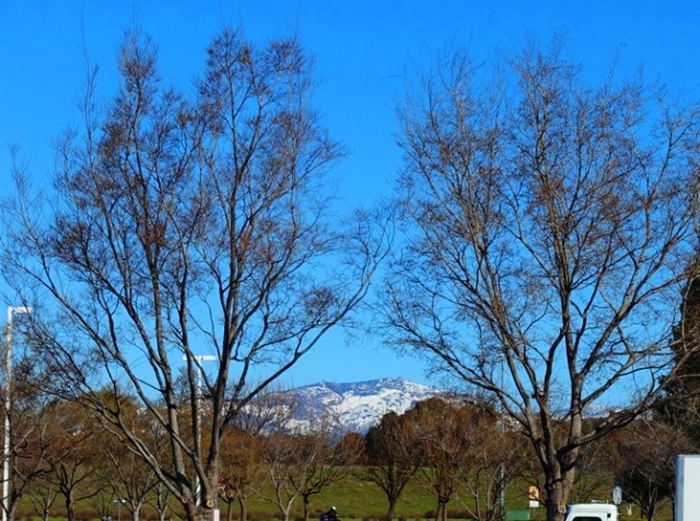 Mt. Diablo, Dublin, California, Snow