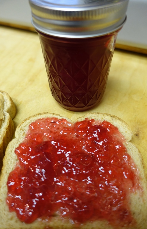 Pomegranate Jelly, PBJ, National PBJ Day