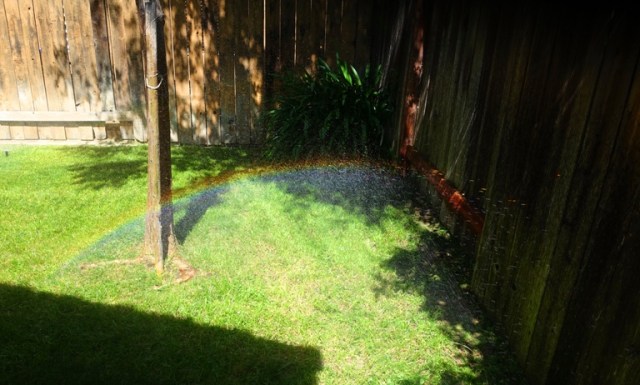 Rainbow, Sprinklers, Yard Work