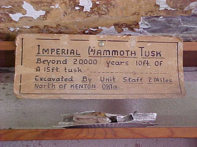Mammoth Bones, Mammoth Tusk, Kenton, Oklahoma