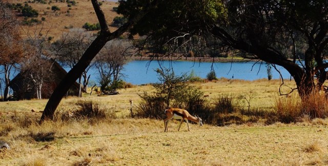 Springbok, South Africa, Cradle Moon, Conservancy
