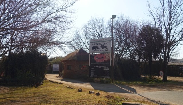 Rhino and Lion, Nature Reserve, Animals, South Africa